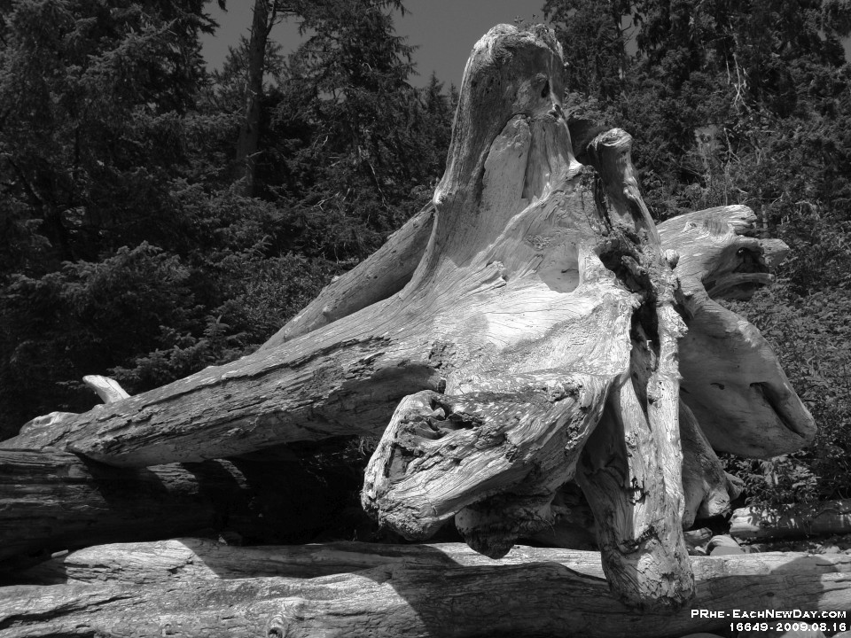 16649CrBw - Sombrio Beach